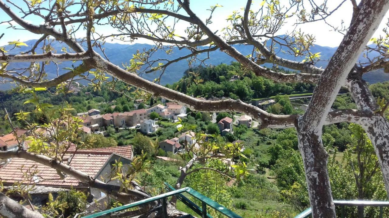 Villa Emmony Santo-Pietro-di-Venaco Esterno foto